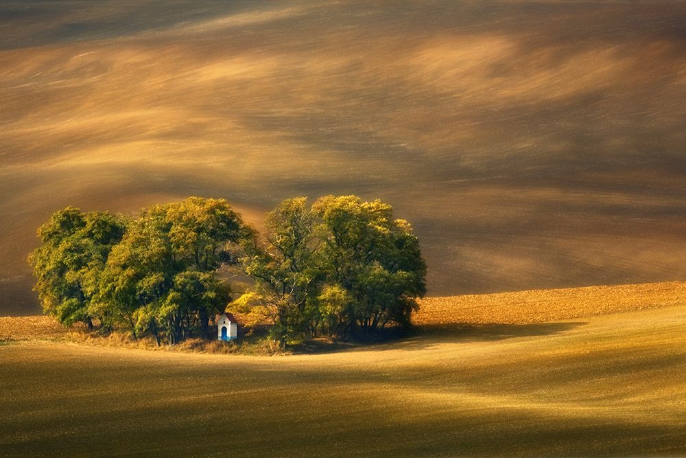 Moravian Fields... art print by Krzysztof Browko for $57.95 CAD
