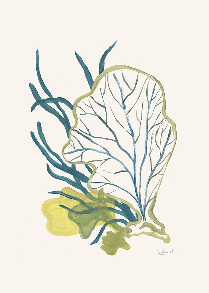 Algae No1 art print by Catalina Somolinos for $57.95 CAD