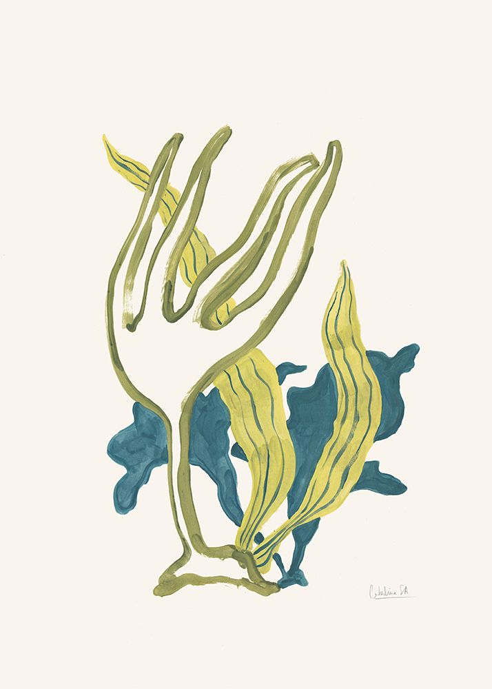 Algae No2 art print by Catalina Somolinos for $57.95 CAD