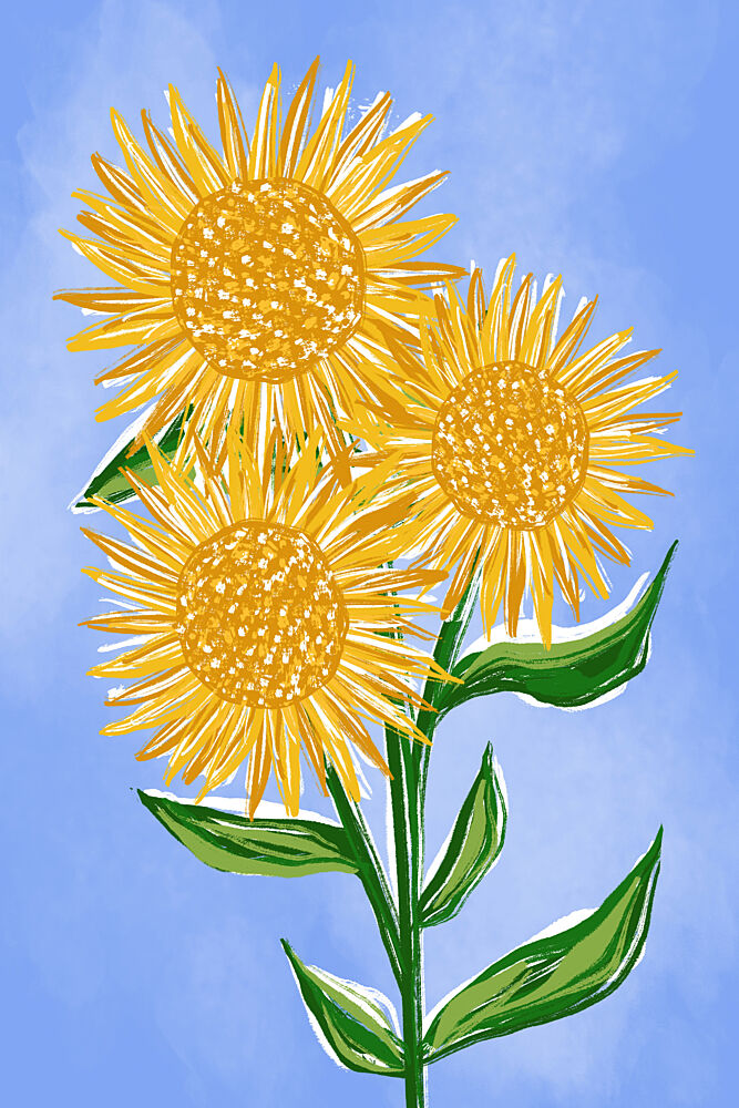Sunny Sunflowers art print by Martina for $57.95 CAD
