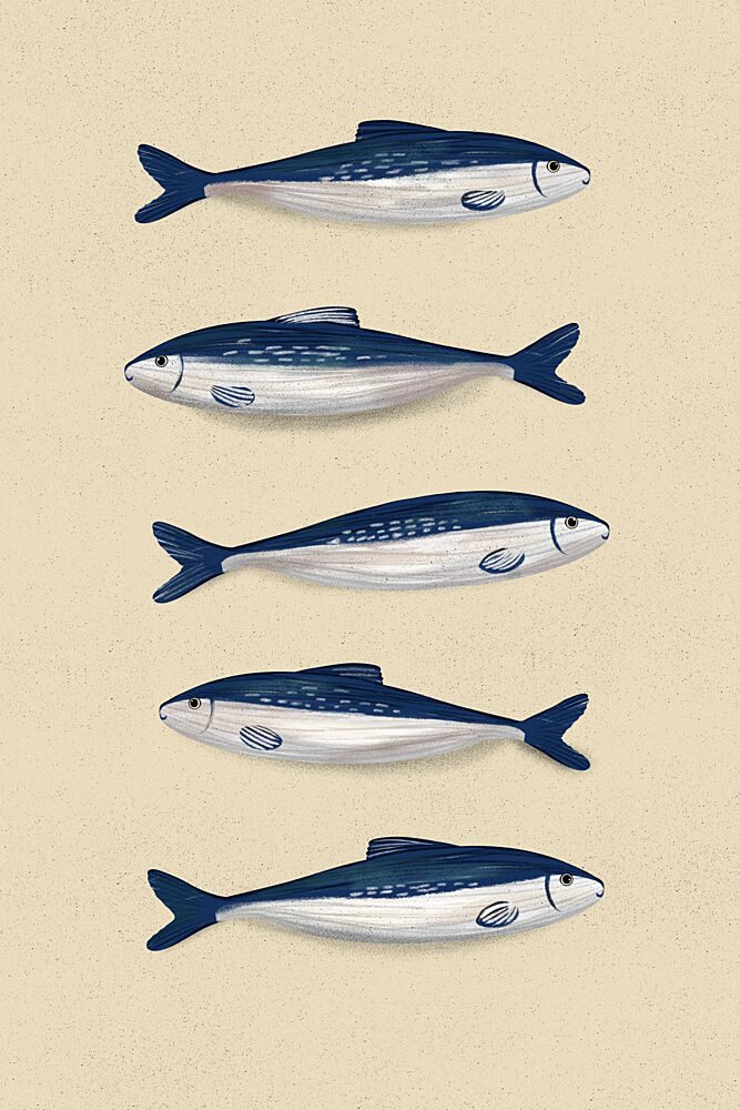 Blue Sardines Pattern art print by EMELIEmaria for $57.95 CAD