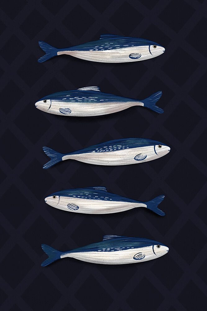 Sardines art print by EMELIEmaria for $57.95 CAD
