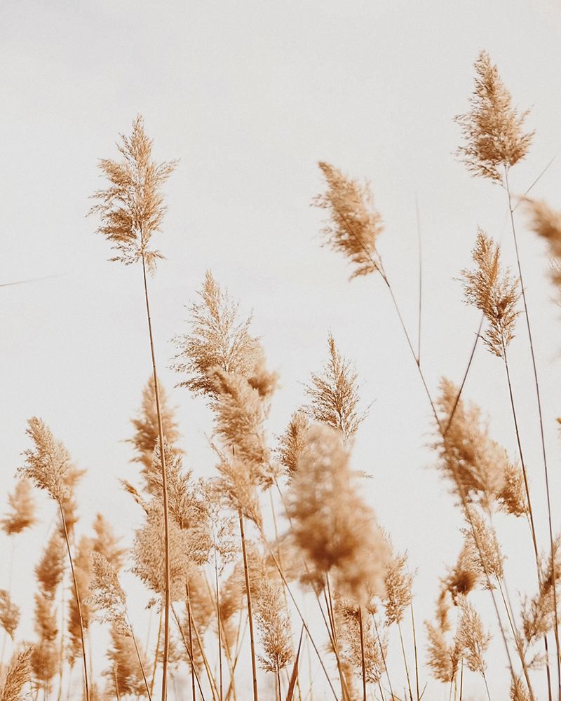 Coastal Maryland art print by Del Mundo Imagery for $57.95 CAD