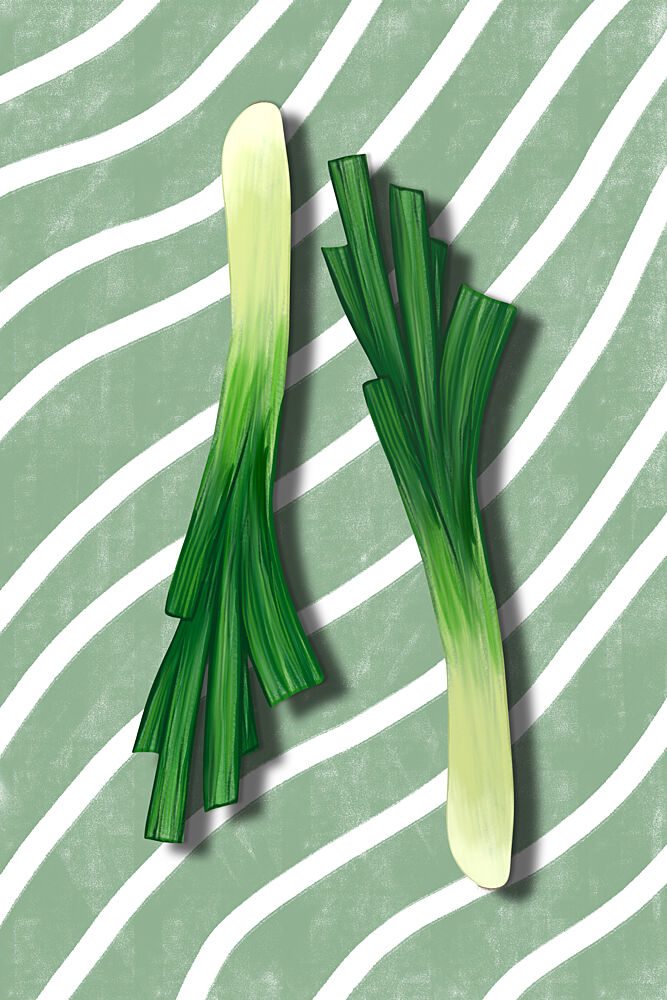 Fresh Green Onions art print by EMELIEmaria for $57.95 CAD