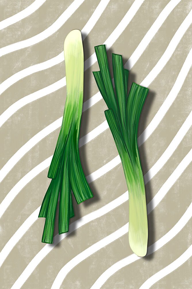 Fresh Green Scallions art print by EMELIEmaria for $57.95 CAD