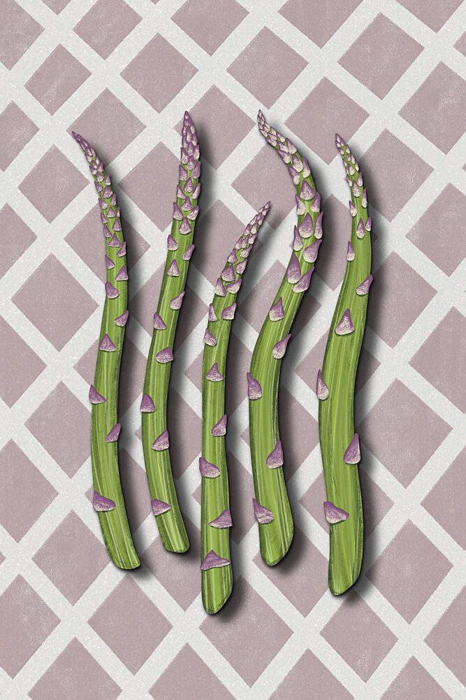 Fresh Asparagus Spears art print by EMELIEmaria for $57.95 CAD