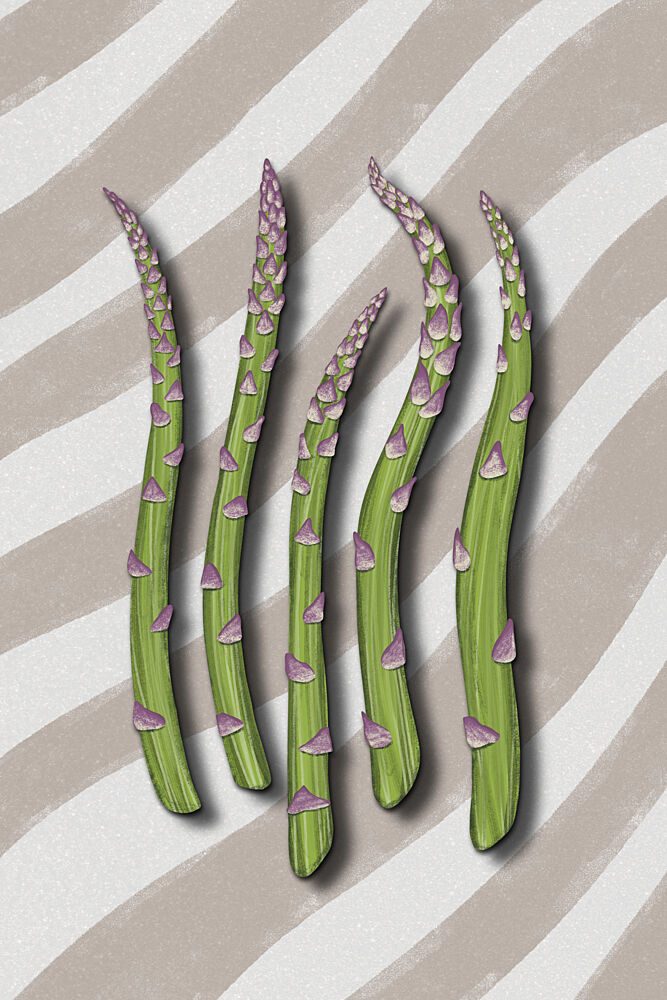 Fresh Green Asparagus art print by EMELIEmaria for $57.95 CAD
