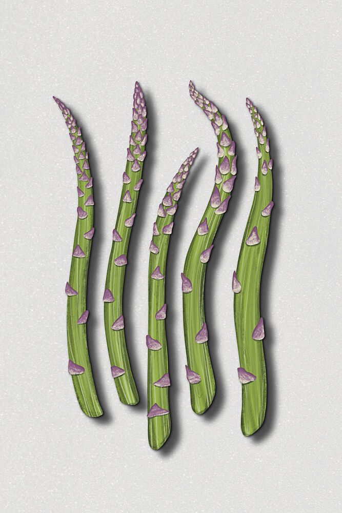Fresh Green Asparagus art print by EMELIEmaria for $57.95 CAD