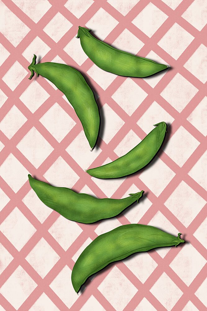 Fresh Green Pea Pods art print by EMELIEmaria for $57.95 CAD