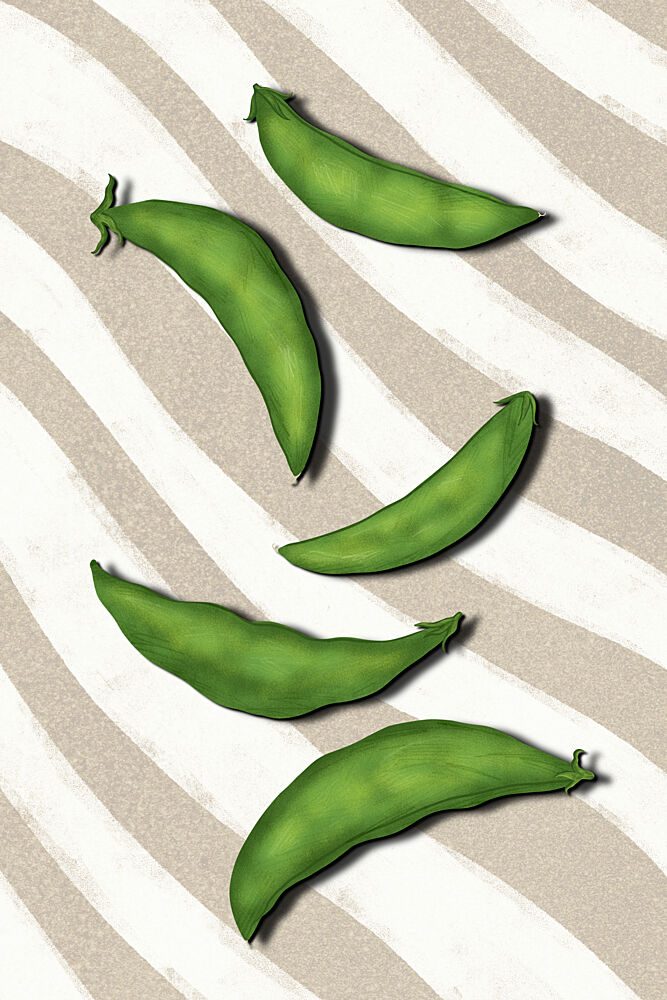 Fresh Green Peas art print by EMELIEmaria for $57.95 CAD