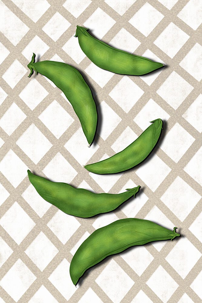 Fresh Green Pea Pods art print by EMELIEmaria for $57.95 CAD
