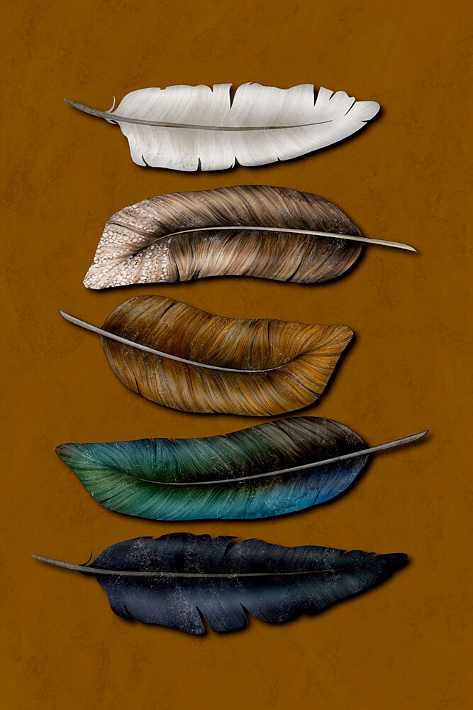 Colorful Natural Feathers art print by EMELIEmaria for $57.95 CAD