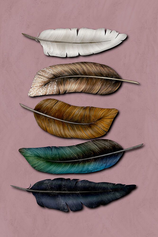 Earthy Feather Collection art print by EMELIEmaria for $57.95 CAD