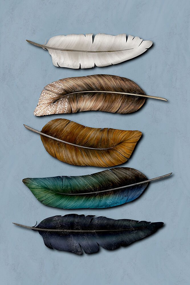 Elegant Natural Feathers art print by EMELIEmaria for $57.95 CAD
