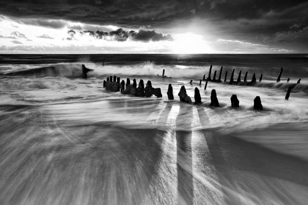 Sunlight art print by Mel Brackstone for $57.95 CAD