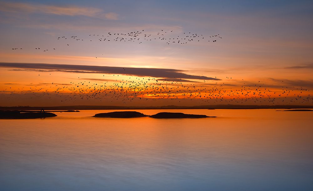By Sunset art print by Piotr Krol for $57.95 CAD