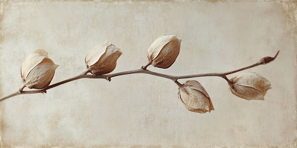 Faded Elegance art print by Treechild for $57.95 CAD