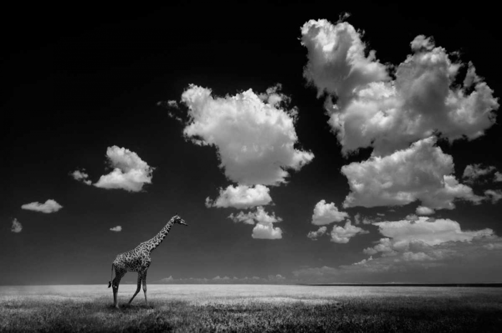 Gone With The Clouds art print by Alberto Ghizzi Panizza for $57.95 CAD