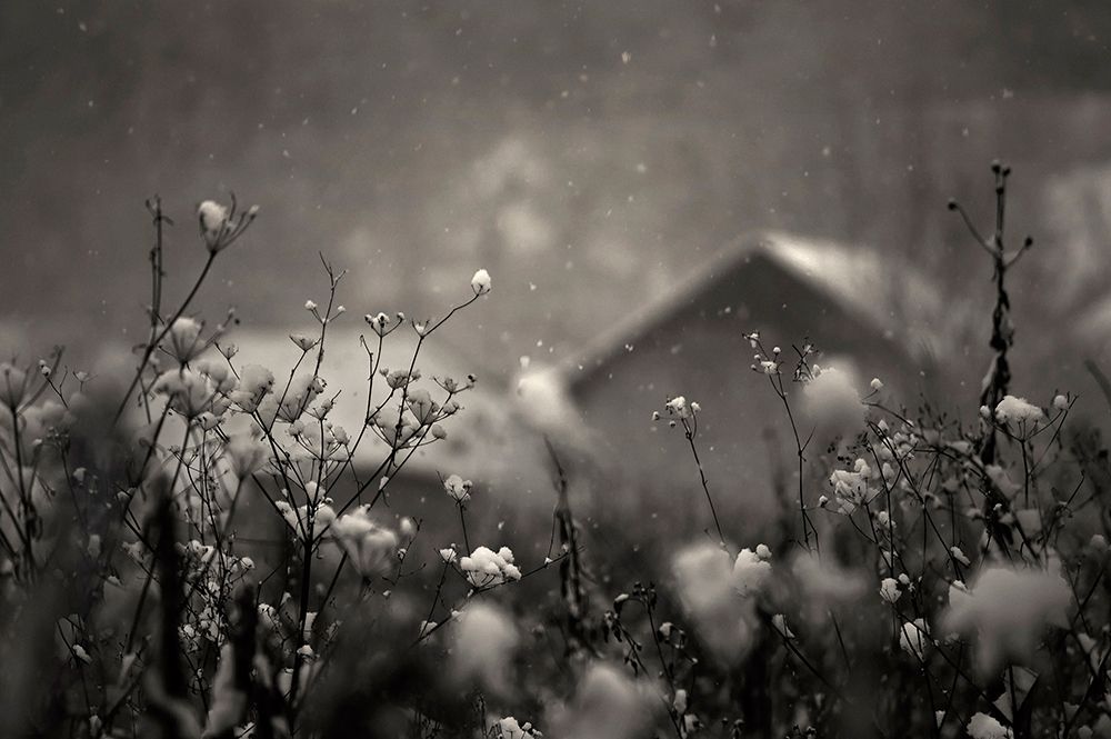 Winter Story art print by PhotoCosma for $57.95 CAD