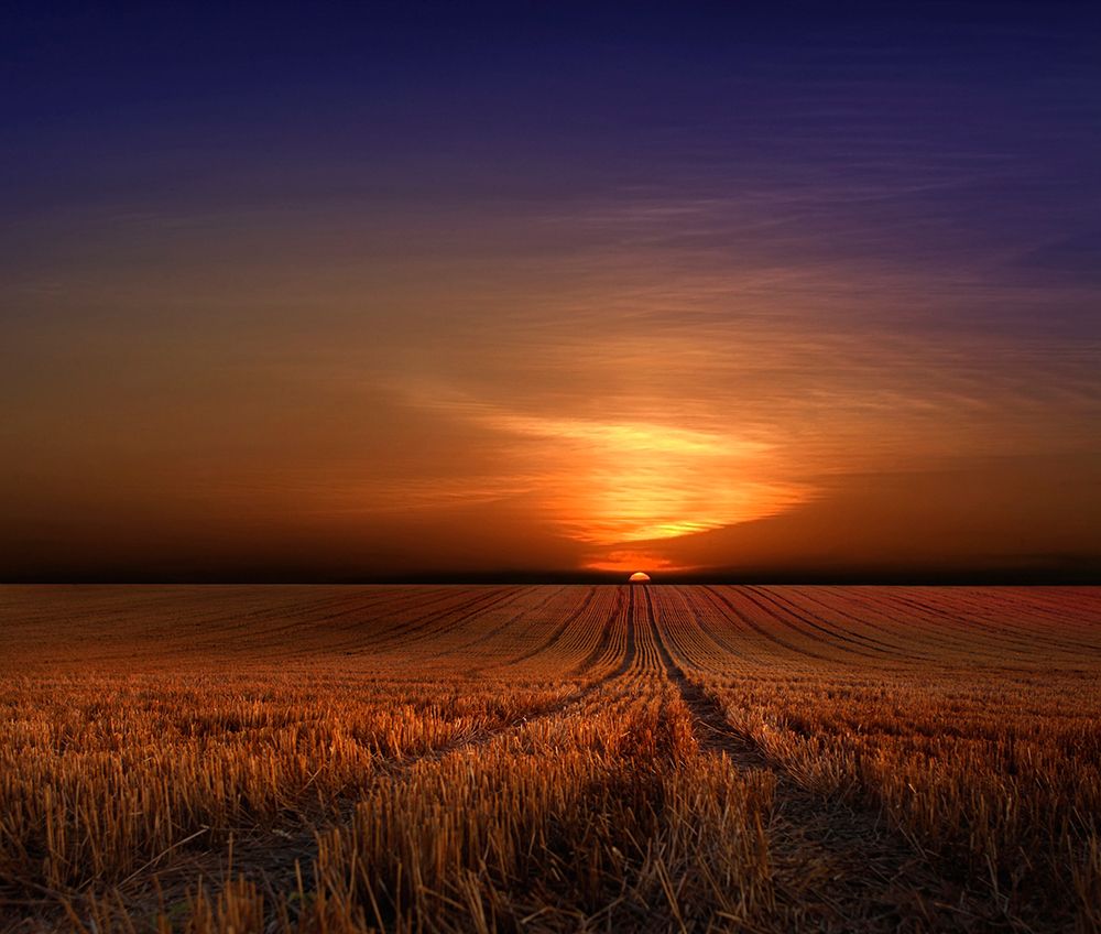 MORNING art print by Nicolas Schumacher for $57.95 CAD