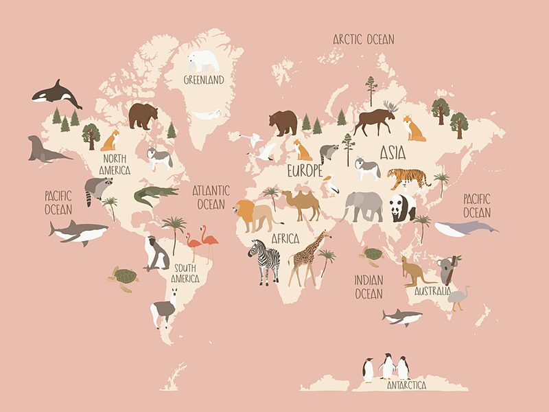 Global Wildlife Guide art print by Treechild for $57.95 CAD