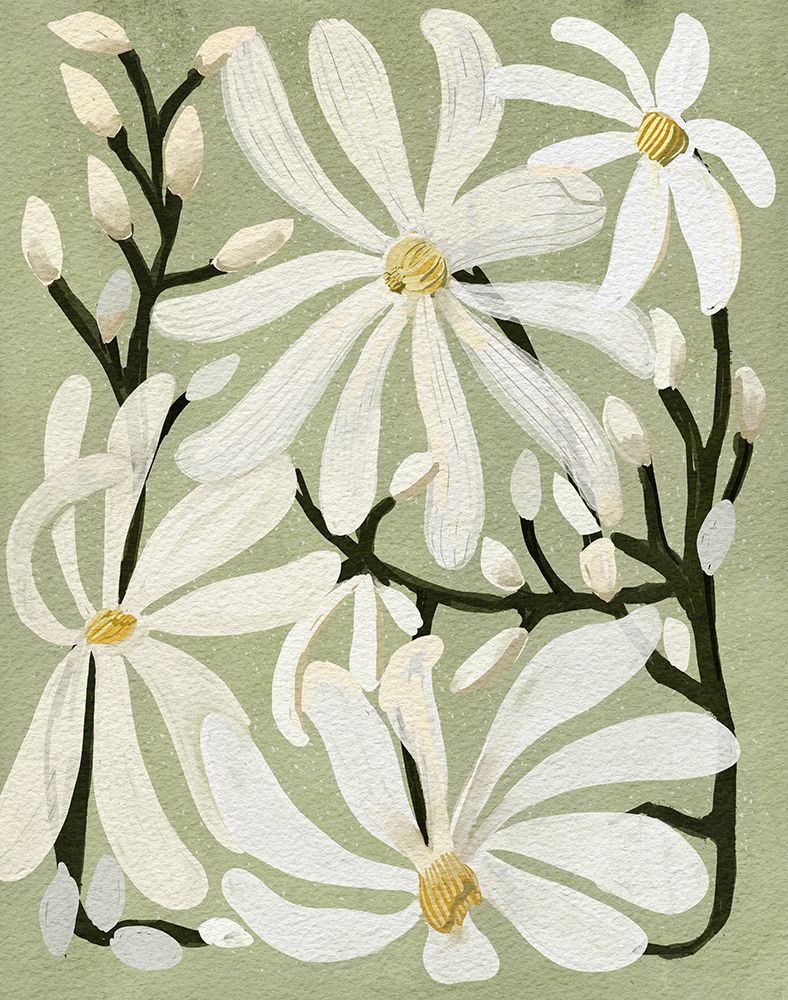 Star Magnolia Florals on Sage background art print by Katie Oshea for $57.95 CAD