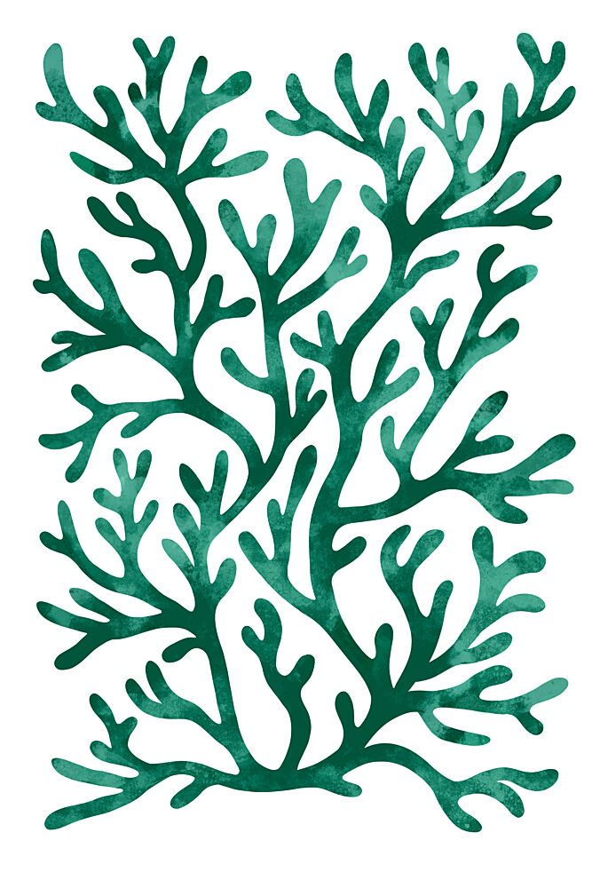 Teal Seaweed Pattern art print by EMELIEmaria for $57.95 CAD