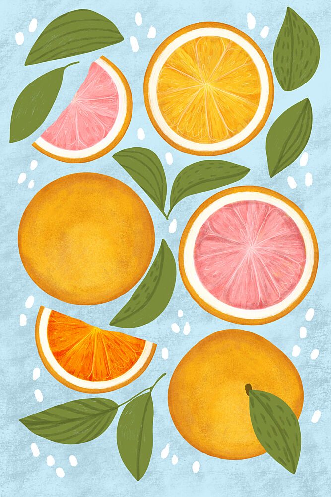 Fresh Citrus Medley art print by EMELIEmaria for $57.95 CAD