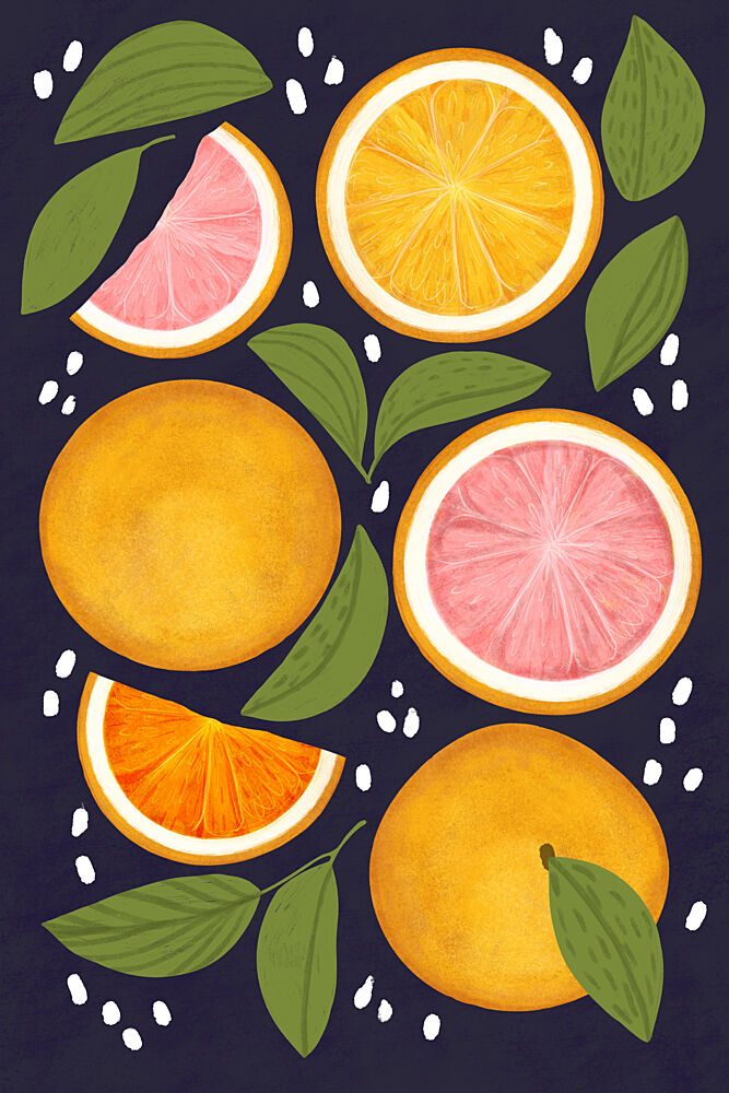Vibrant Citrus Fruits art print by EMELIEmaria for $57.95 CAD