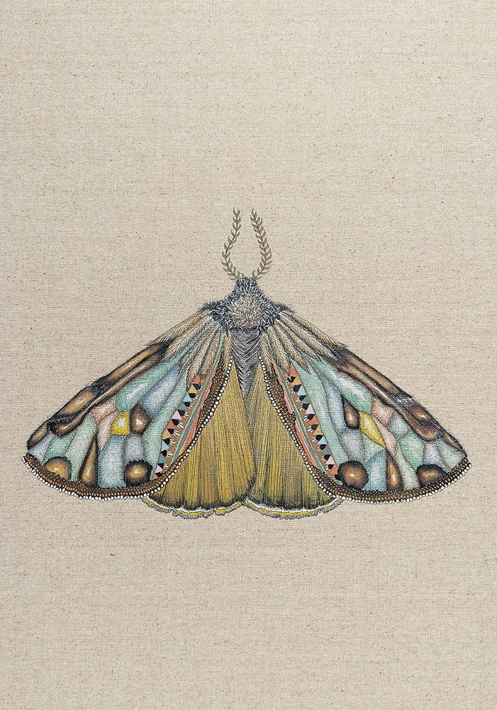 Zrmoth10 Print 70x100 art print by ZAM.ROD for $57.95 CAD