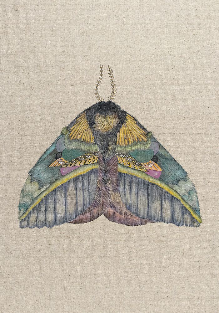 Zrmoth8 Print 70x100 art print by ZAM.ROD for $57.95 CAD