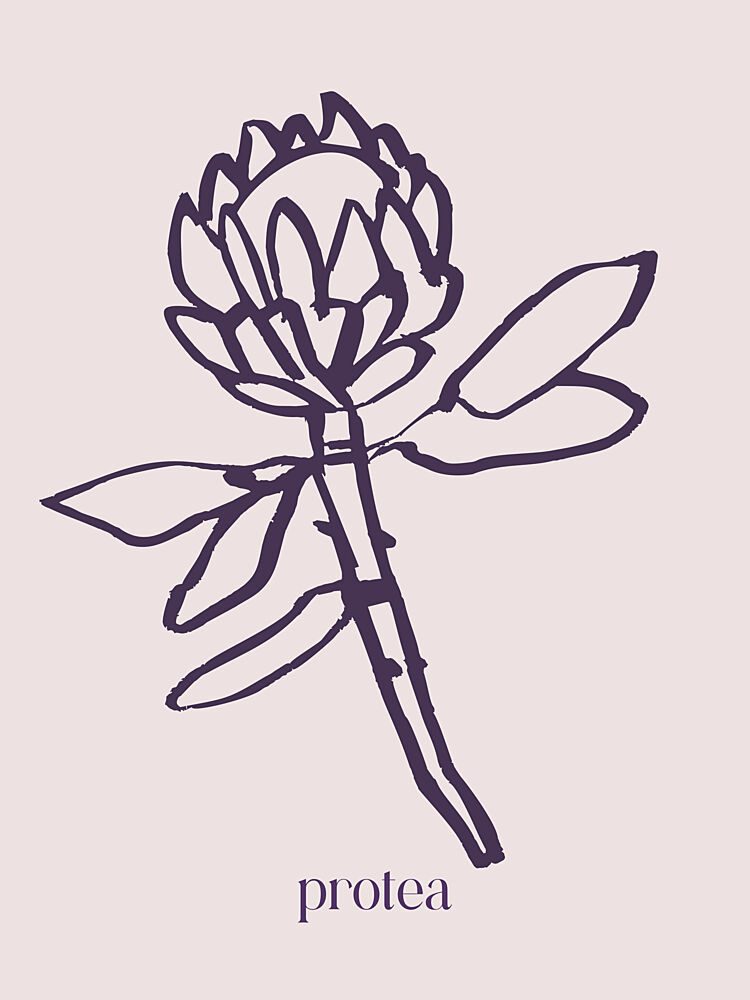 Elegant Protea Line art print by Treechild for $57.95 CAD