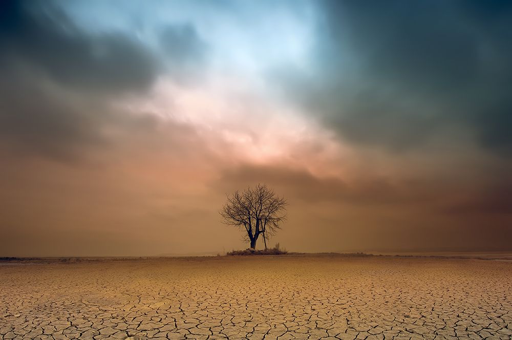 A Loner ... art print by Piotr Krol for $57.95 CAD