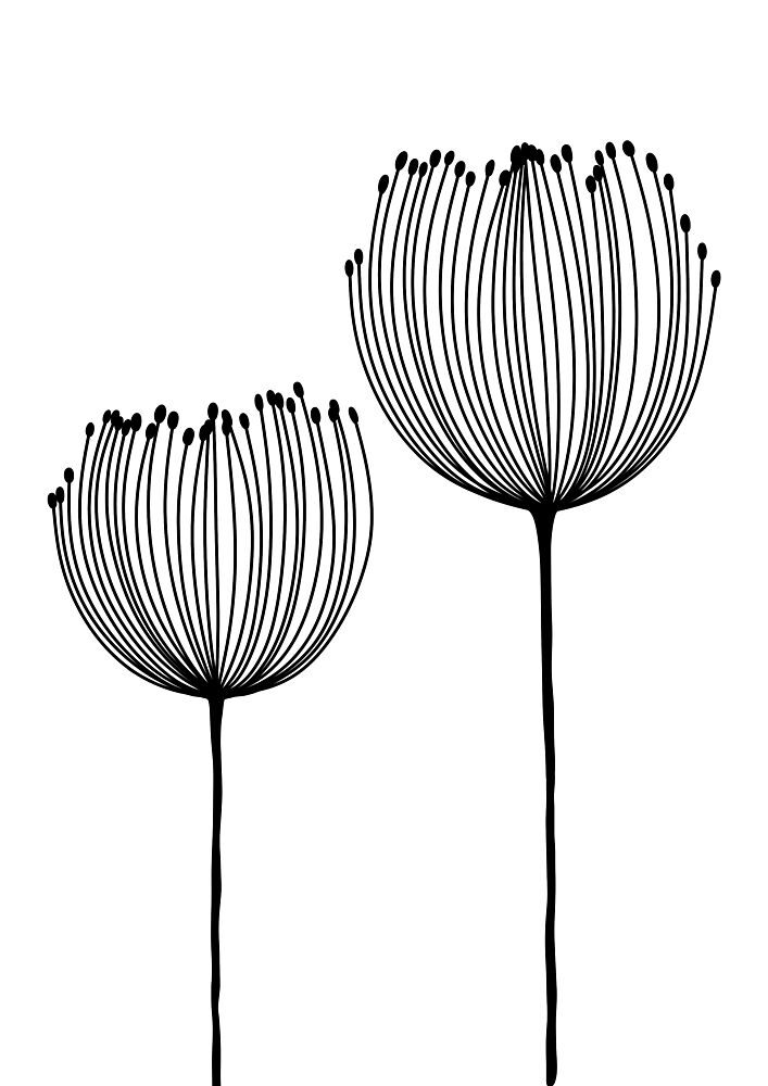 Minimalist Botanical Lines art print by Bainai for $57.95 CAD