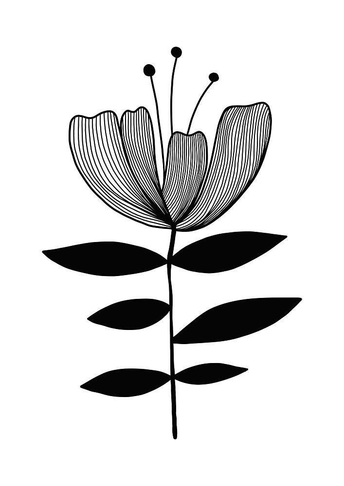 Minimalist Botanical Lines art print by Bainai for $57.95 CAD