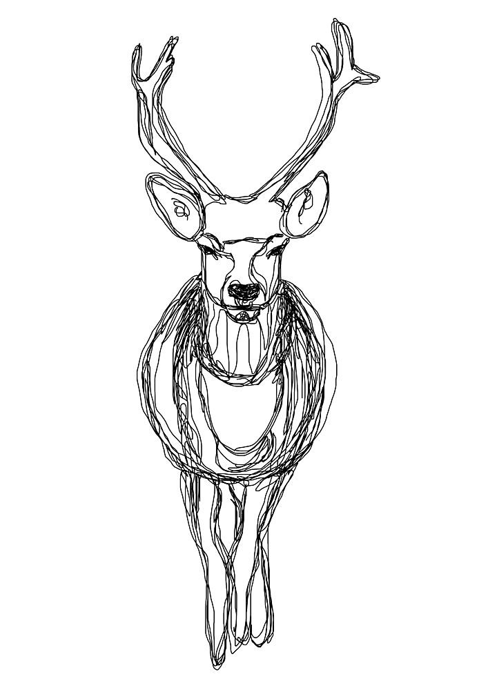 Graceful Deer Line Art art print by Bainai for $57.95 CAD