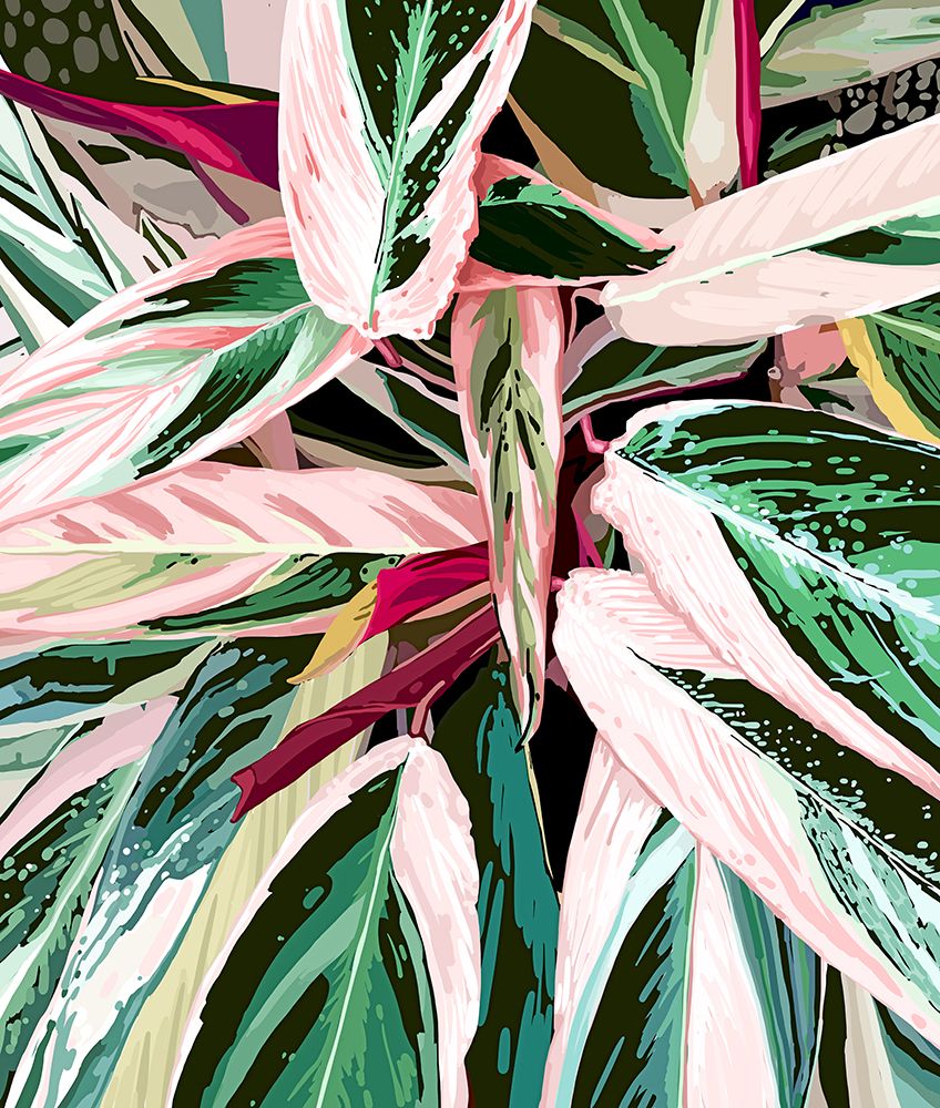 Tropical Variegated Houseplant art print by Uma Gokhale for $57.95 CAD