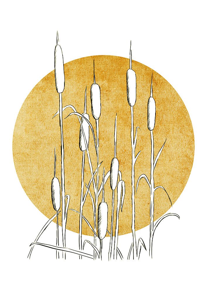 Golden Cattails art print by Bainai for $57.95 CAD