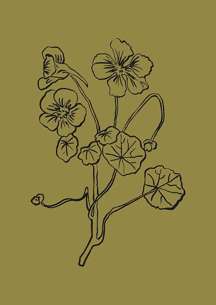 Delicate Lines of Nature art print by Treechild for $57.95 CAD