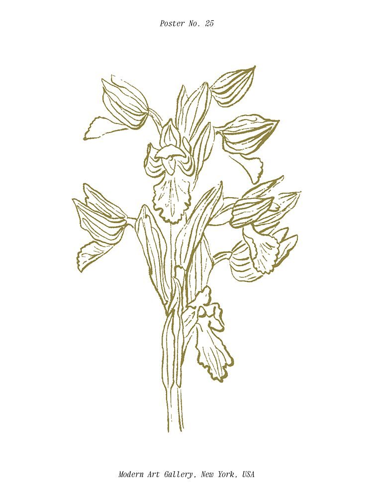 Orchid Harmony art print by Treechild for $57.95 CAD