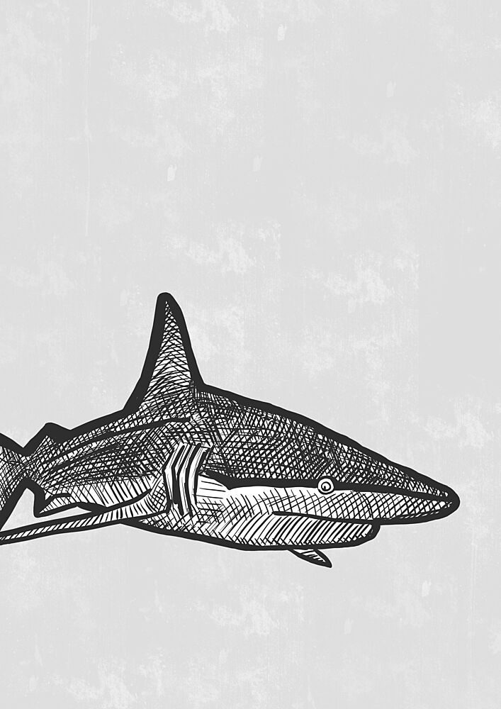 Shark Line Art art print by Bainai for $57.95 CAD