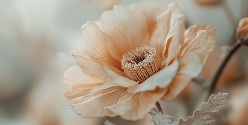 Gentle Blossom art print by Treechild for $57.95 CAD