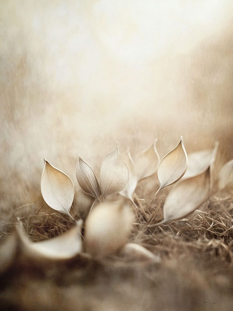 Whispering Leaves art print by Treechild for $57.95 CAD