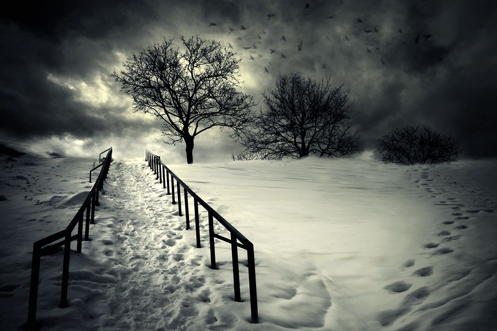 Stairs To The Sanctuary Ii art print by David Senechal Photographie for $57.95 CAD