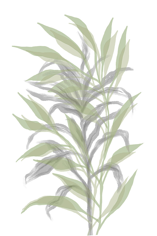 Soft Green Botanicals art print by Martina for $57.95 CAD