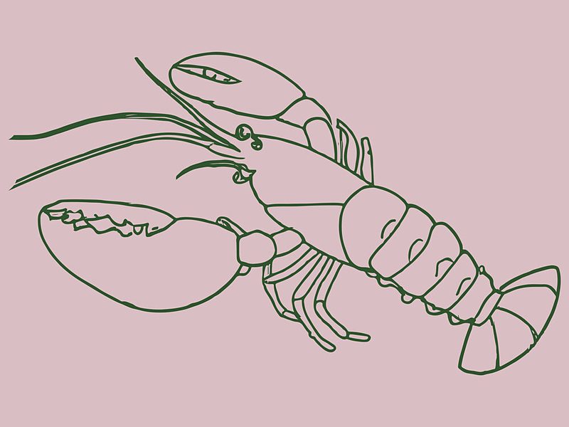 Elegant Lobster Sketch art print by Treechild for $57.95 CAD