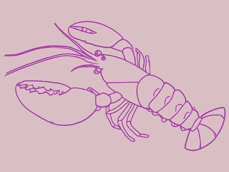 Vibrant Lobster Lines art print by Treechild for $57.95 CAD