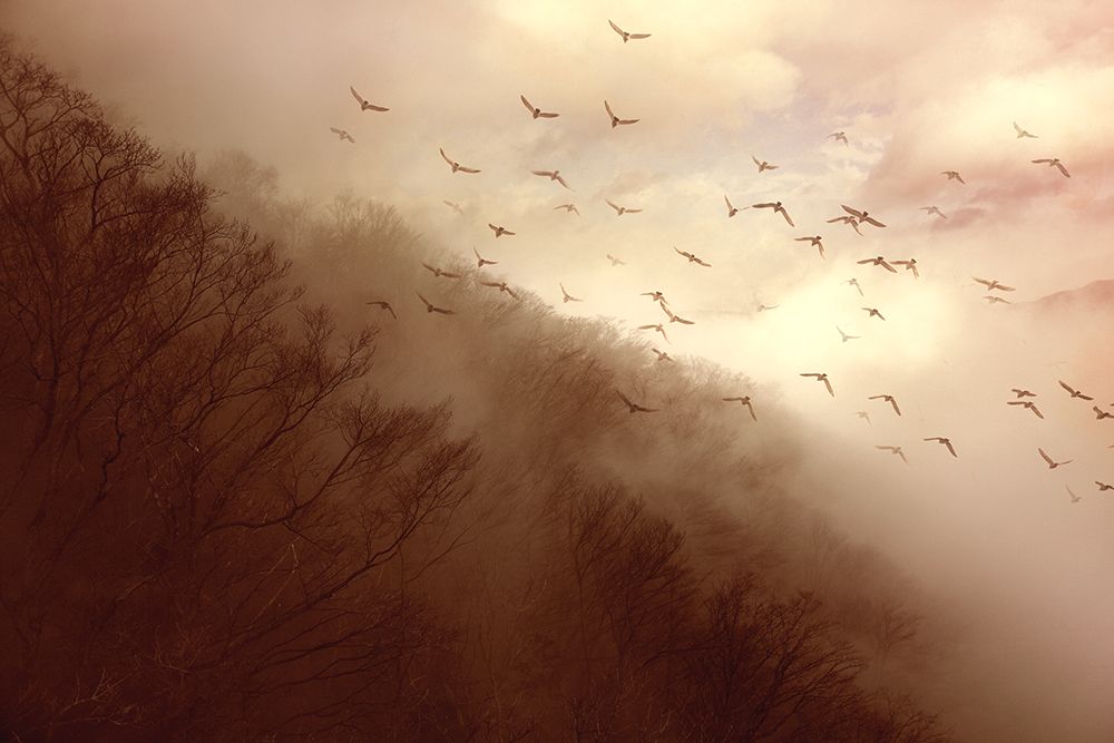 Departure art print by Kiyo Murakami for $57.95 CAD