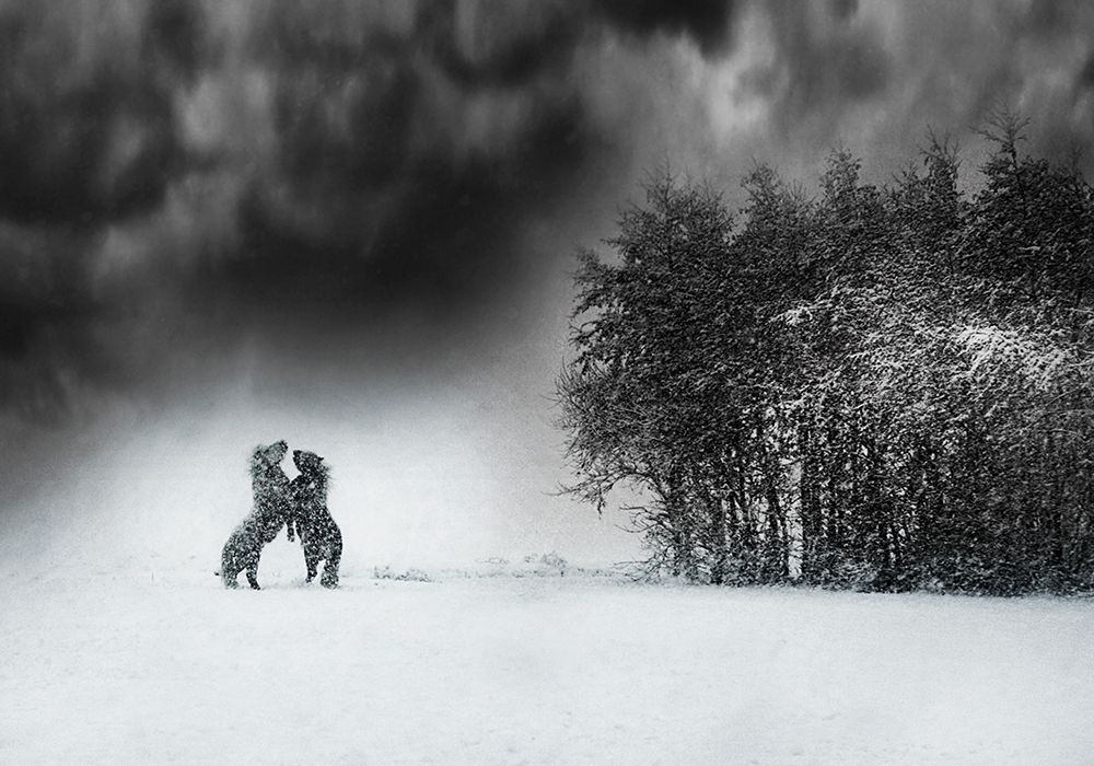 Playing art print by Bernadette Heemskerk for $57.95 CAD