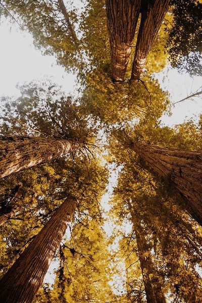 Landscapes prints and posters